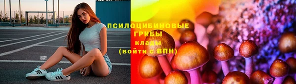 герыч Алексин