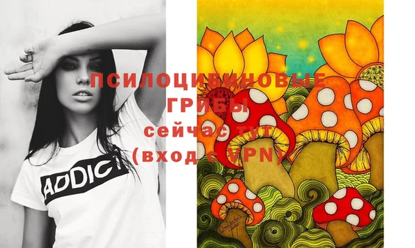 герыч Алексин