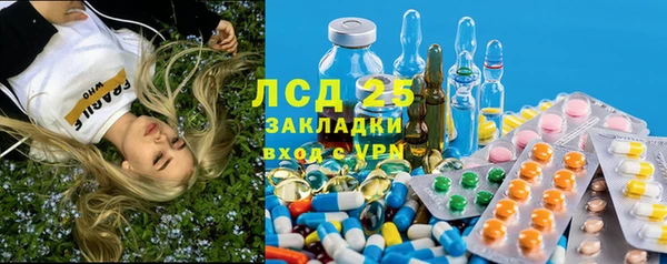 гашик Алексеевка