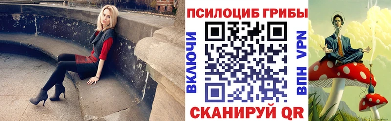 где купить Буй Псилоцибиновые грибы Psilocybine cubensis